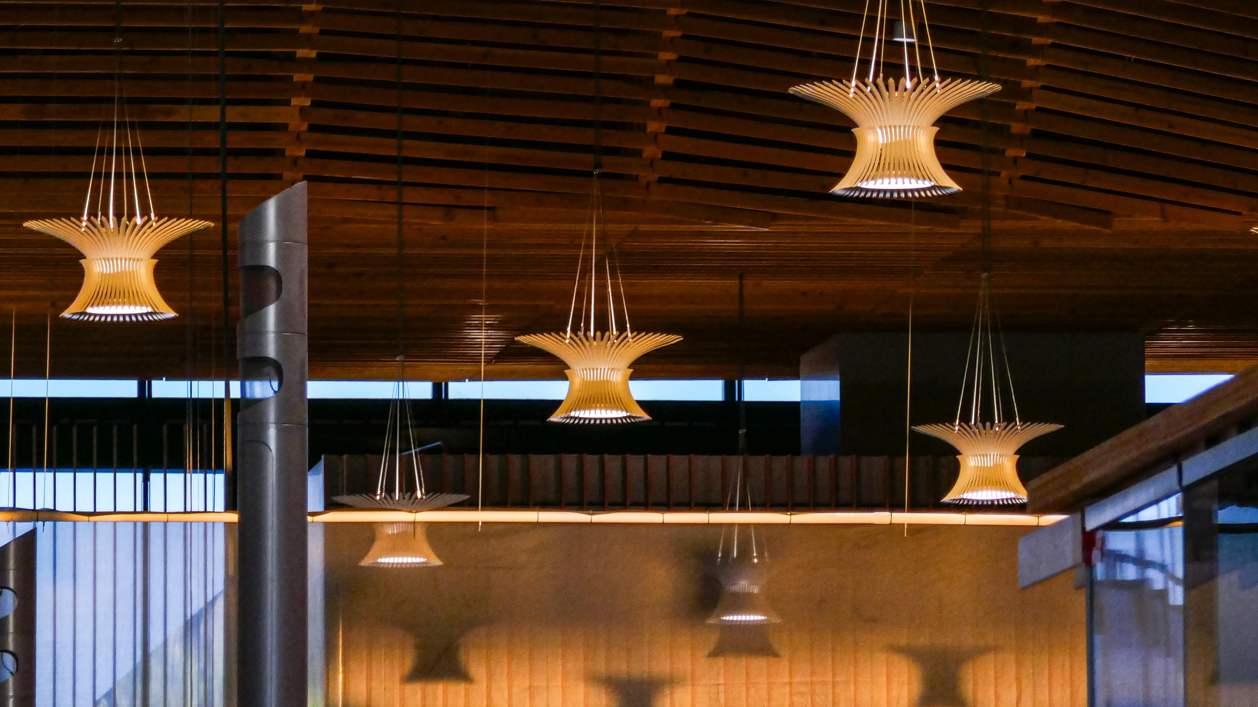 What's New with PDX Next (Week of January 5)